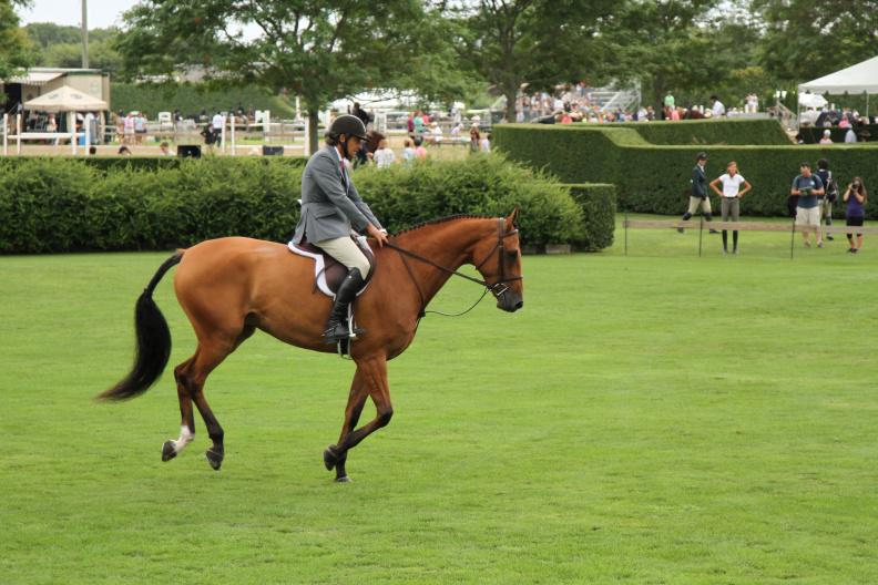 Hampton Classic Opening Day 2015