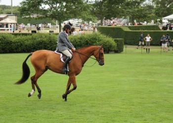 Hampton Classic Opening Day 2015