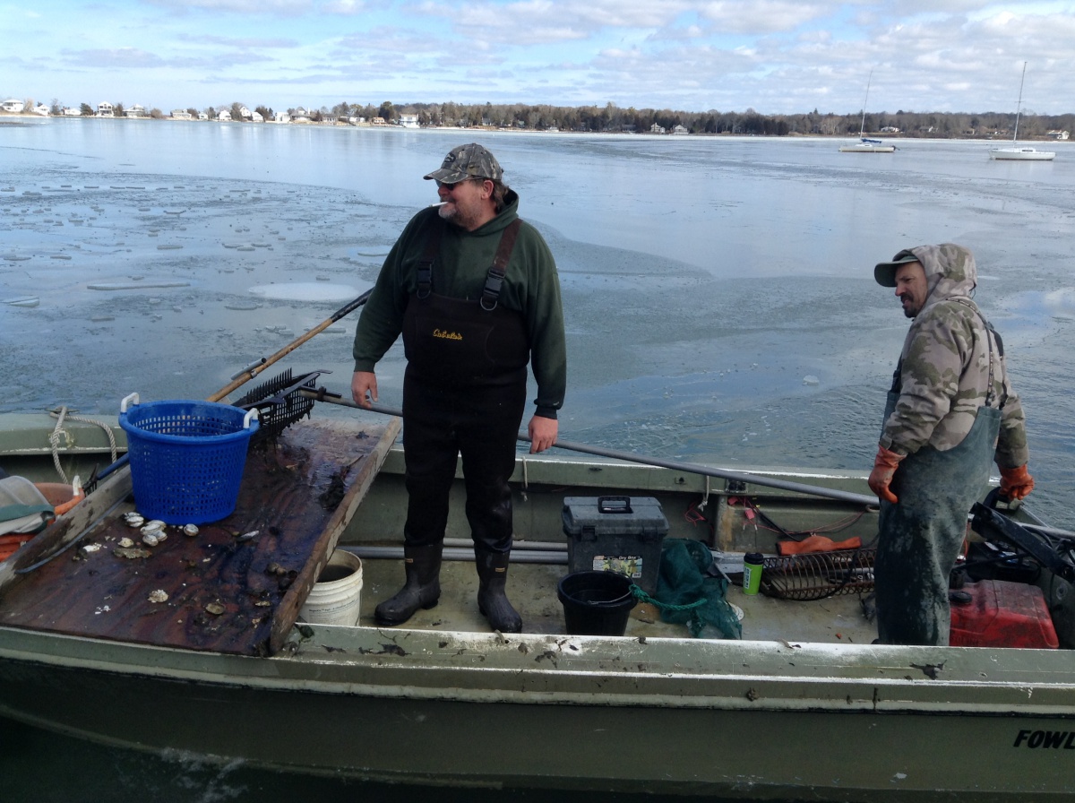 Clammers get back to the boat ramp at Conscience Point in North Sea.