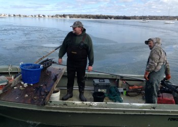 Clammers get back to the boat ramp at Conscience Point in North Sea.