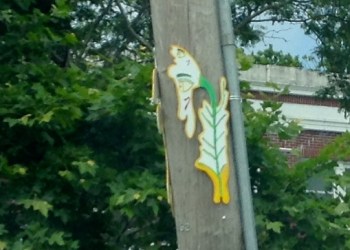 2014-07-01 11.40.45-2