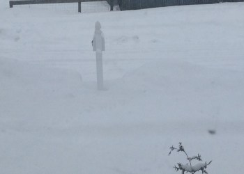 Snow on February 17, 2015.