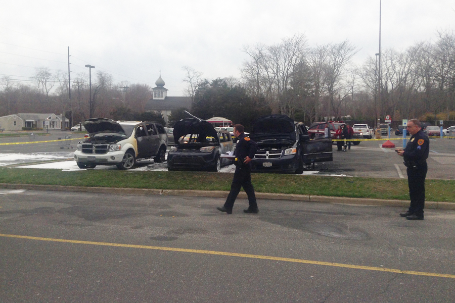 Police say a man was trying to kill bedbugs with rubbing alcohol when he lit his rental car on fire.