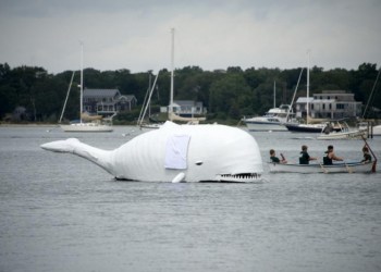 Harborfest 2015 Whaleboat Races