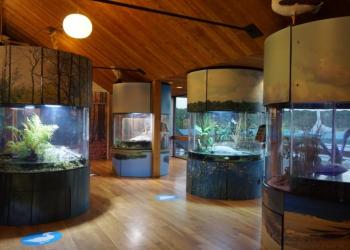 inside the South Fork Natural History Museum