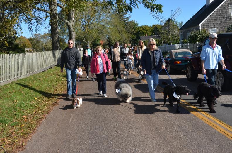 ARF supporters join the Stroll to the Sea Dog Walk