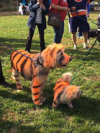 Two tiggers