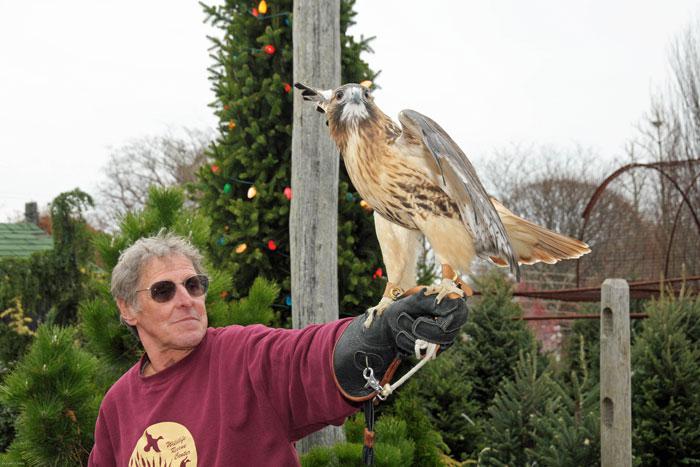 Nick Marzano of the Evelyn Alexander Wildlife Rescue Center