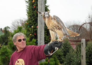 Nick Marzano of the Evelyn Alexander Wildlife Rescue Center 