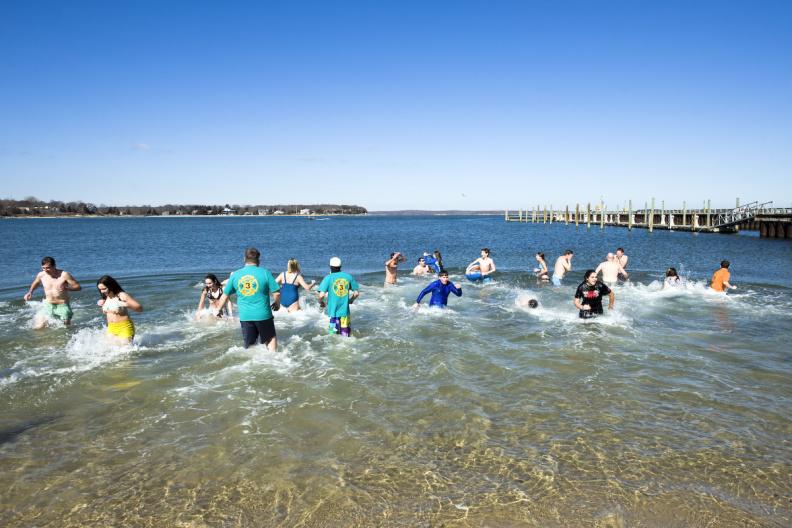 Brave souls do the 2016 polar bear plunge