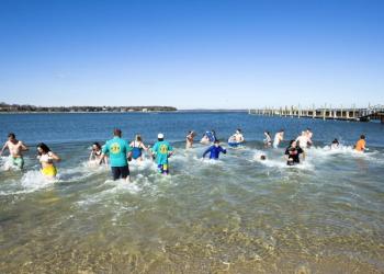 Brave souls do the 2016 polar bear plunge