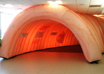 Our tour begins! The Giant Colon is making its way around the United States to raise awareness and educate others as they stress the importance screening, early detection, prevention and treatment.