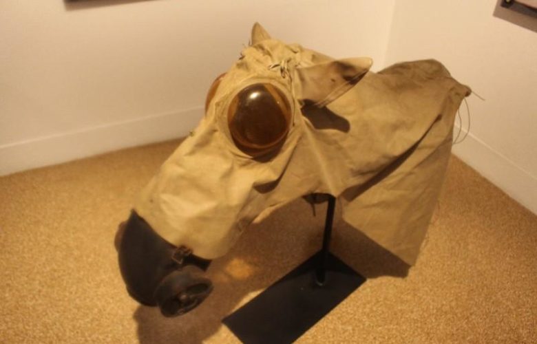 Japanese horse mask and shroud by Steve Erenberg
