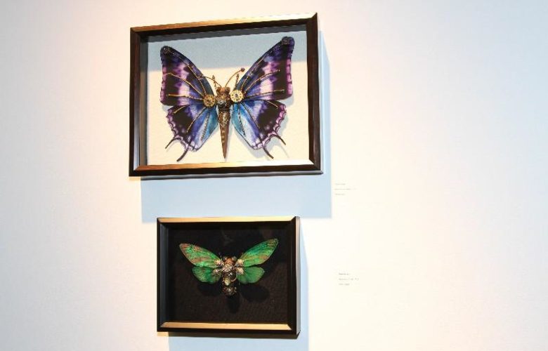 Daniel Proulx's artwork on display