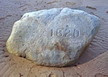 27.9 KB Plymouth Rock
