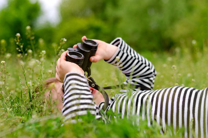 kid bird watching