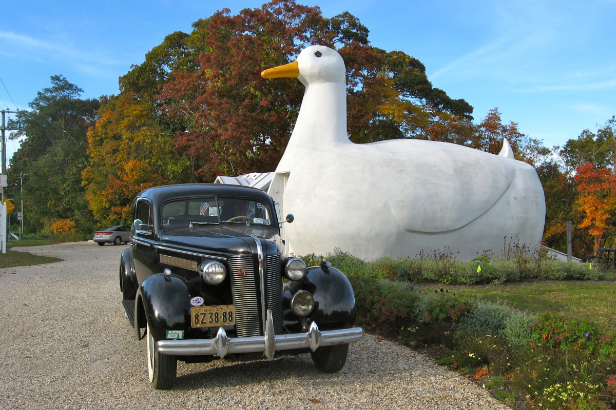 The Big Duck in Flanders. Photo credit: Courtesy FOBD