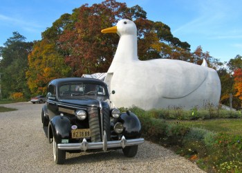The Big Duck in Flanders. Photo credit: Courtesy FOBD