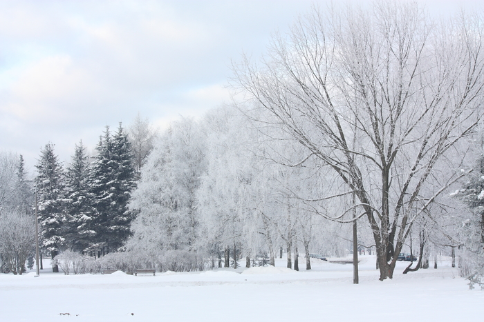 snow