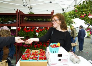Cameron Curtis, of Manhattan, buys fresh strawberries from Rosa Chavez at the Catapano farm stand.