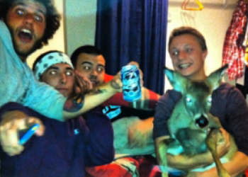 The DEC said these men deer-napped this fawn and one other.