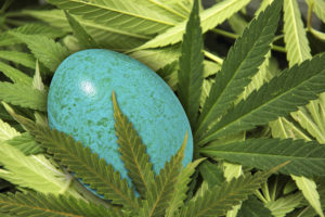 4/20 Easter Egg Pot Marijuana