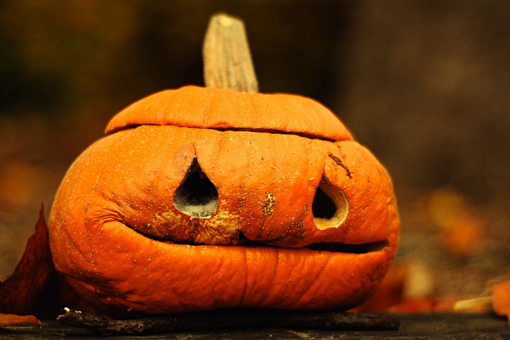 Jack-o'-lantern. Photo credit: Evil Erin/Wikimedia Commons