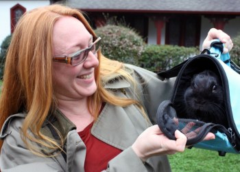 Blessing of the Animals