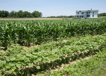 The beautiful North Fork.