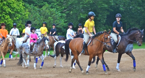 Pony Drill Team "We Are Family"