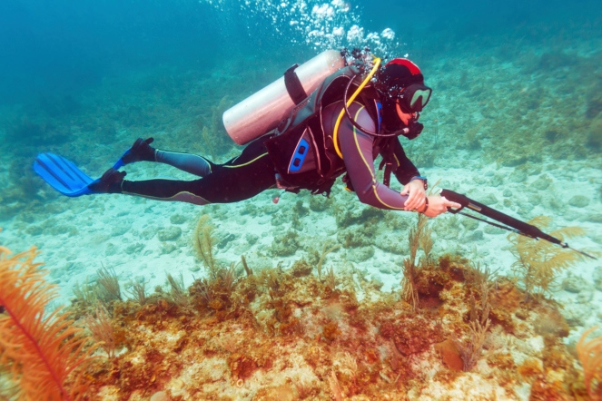 Scuba Diver with Spear Gun