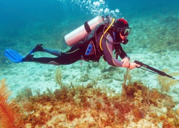 Scuba Diver with Spear Gun