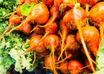 michelsun Collection: iStock