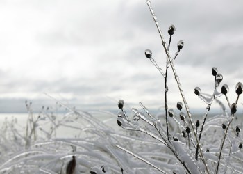 Snow, sleet and rain expected Monday into Tuesday.