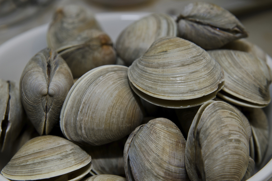 Cooked clams in bowl ready to eat