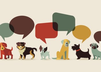 Join Southampton Historical Museum and Southampton Animal Shelter for 