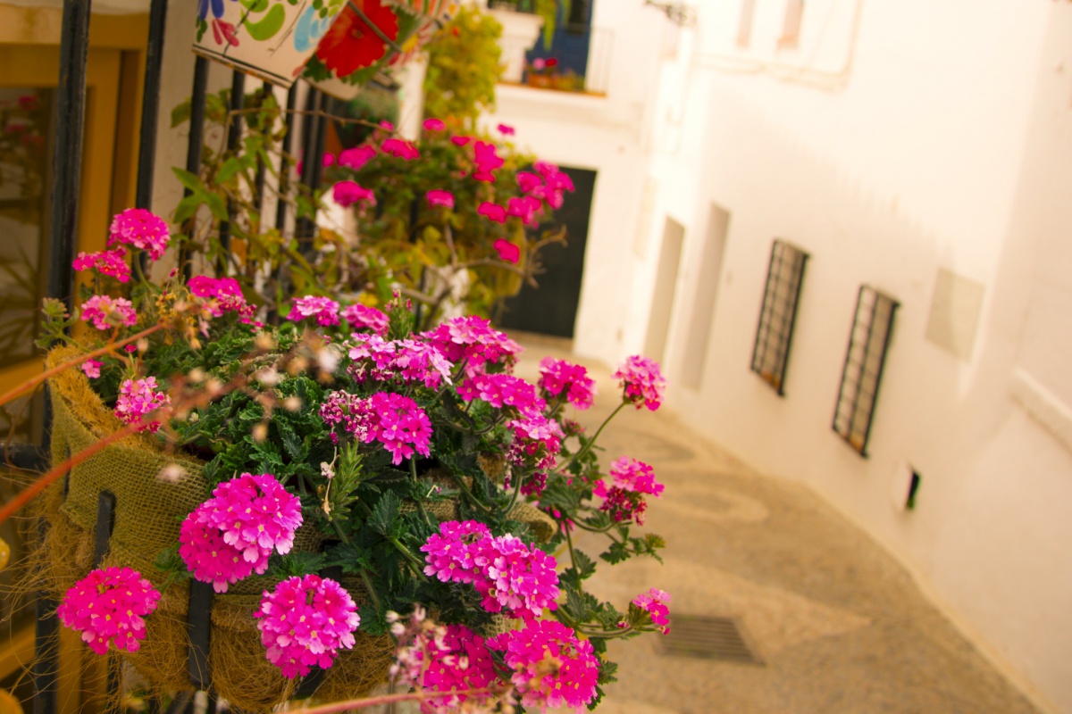 vertical garden pots