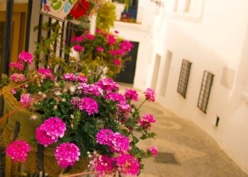 vertical garden pots