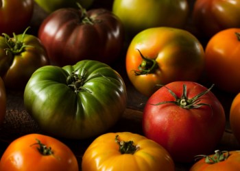 Colorful Organic Heirloom Tomatoes
