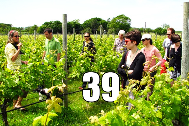 Get out for a vineyard tour on the East End.