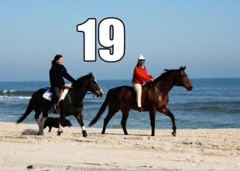 50 Things Deep Hollow Ranch 19