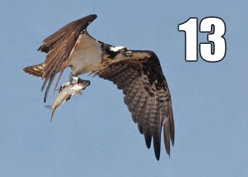 50 Things to Do Before Memorial Day Quogue #13