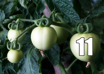 ALEKSANDARDICKOV/ ISTOCK/THINKSTOCKALEKSANDARDICKOV/ ISTOCK/THINKSTOCK