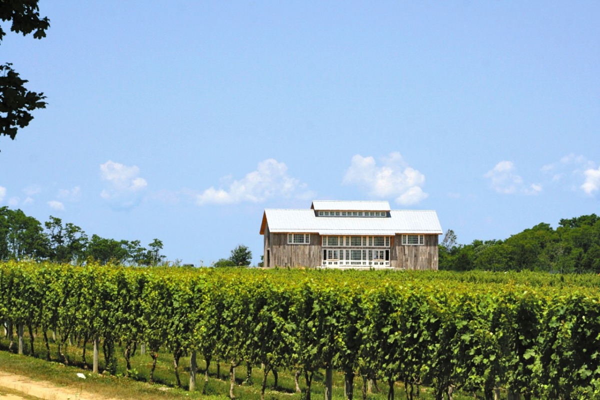 Kontokosta Winery in Greenport