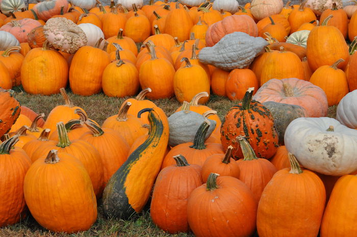 Pumpkins