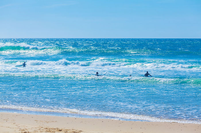 surfers