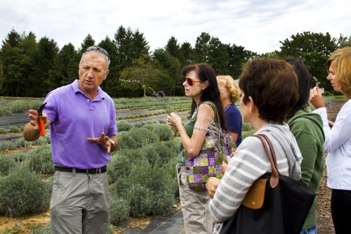 Serge Rozenbaum, owner of Lavender by the Bay in East Marion, treats guests to a guided tour of one of the largest lavender farms in the country, at the 6th Annual Foodie Tour on Long Island’s North Fork this past Sunday.