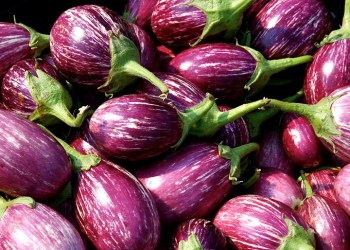 Eggplant.