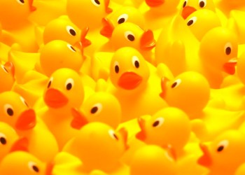 Rubber ducks