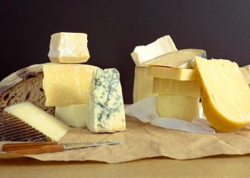 It's National Cheese Lovers Day!